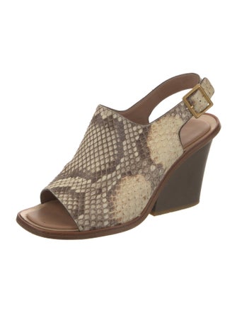 Calvin Klein Collection Python