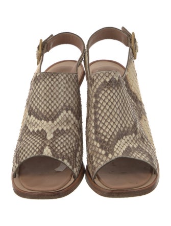 Calvin Klein Collection Python