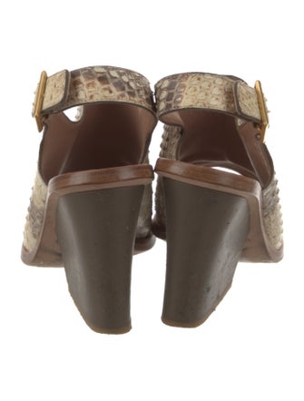 Calvin Klein Collection Python