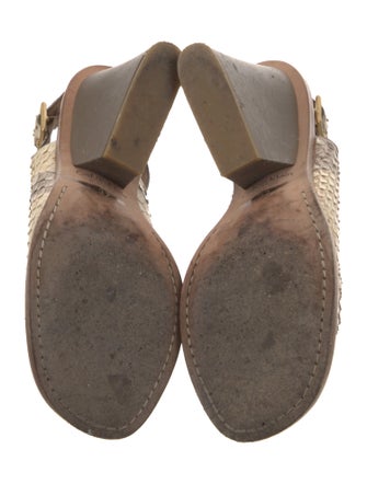 Calvin Klein Collection Python