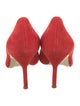 Carolina Herrera Suede Pumps