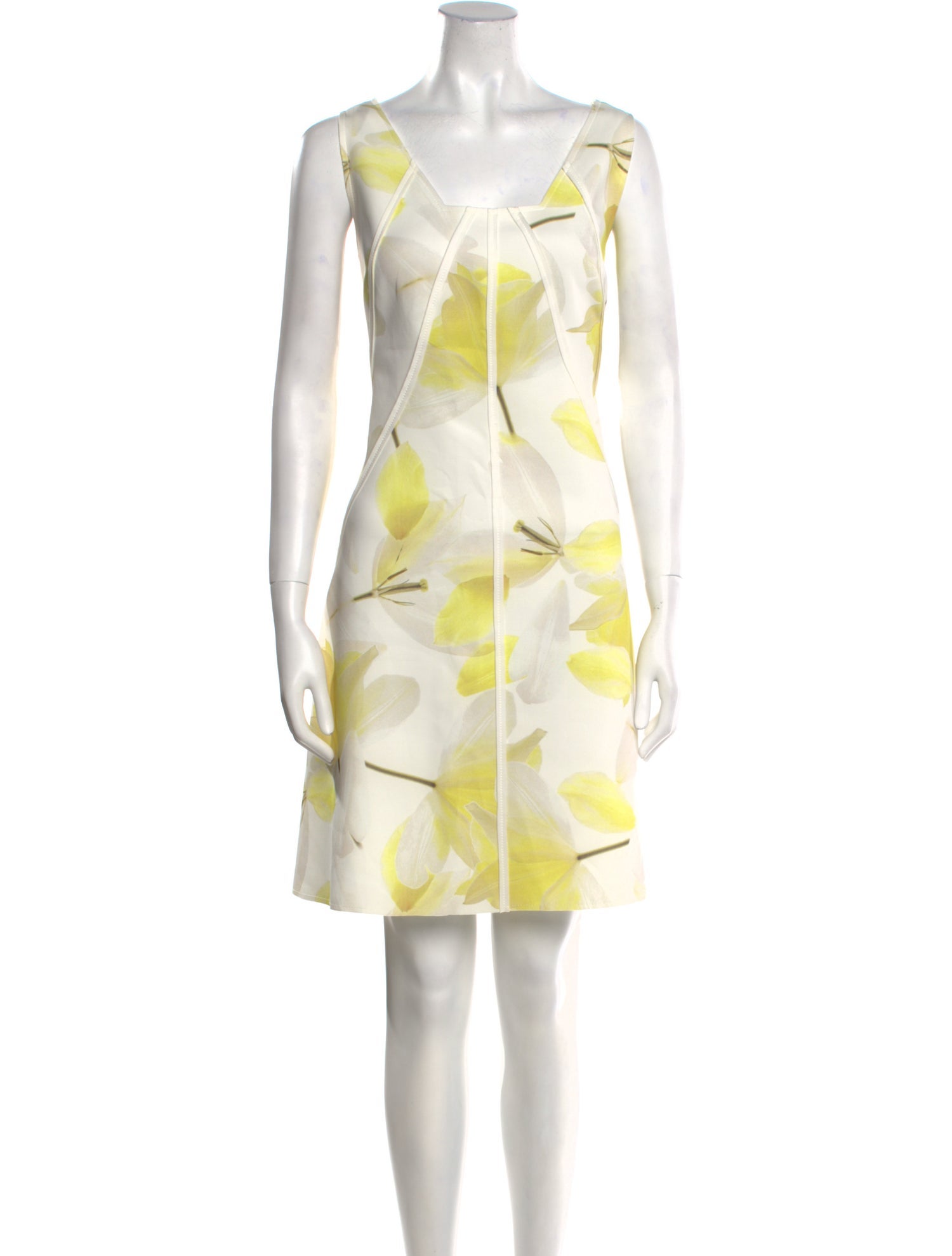 Carolina Herrera Printed Mini Dress