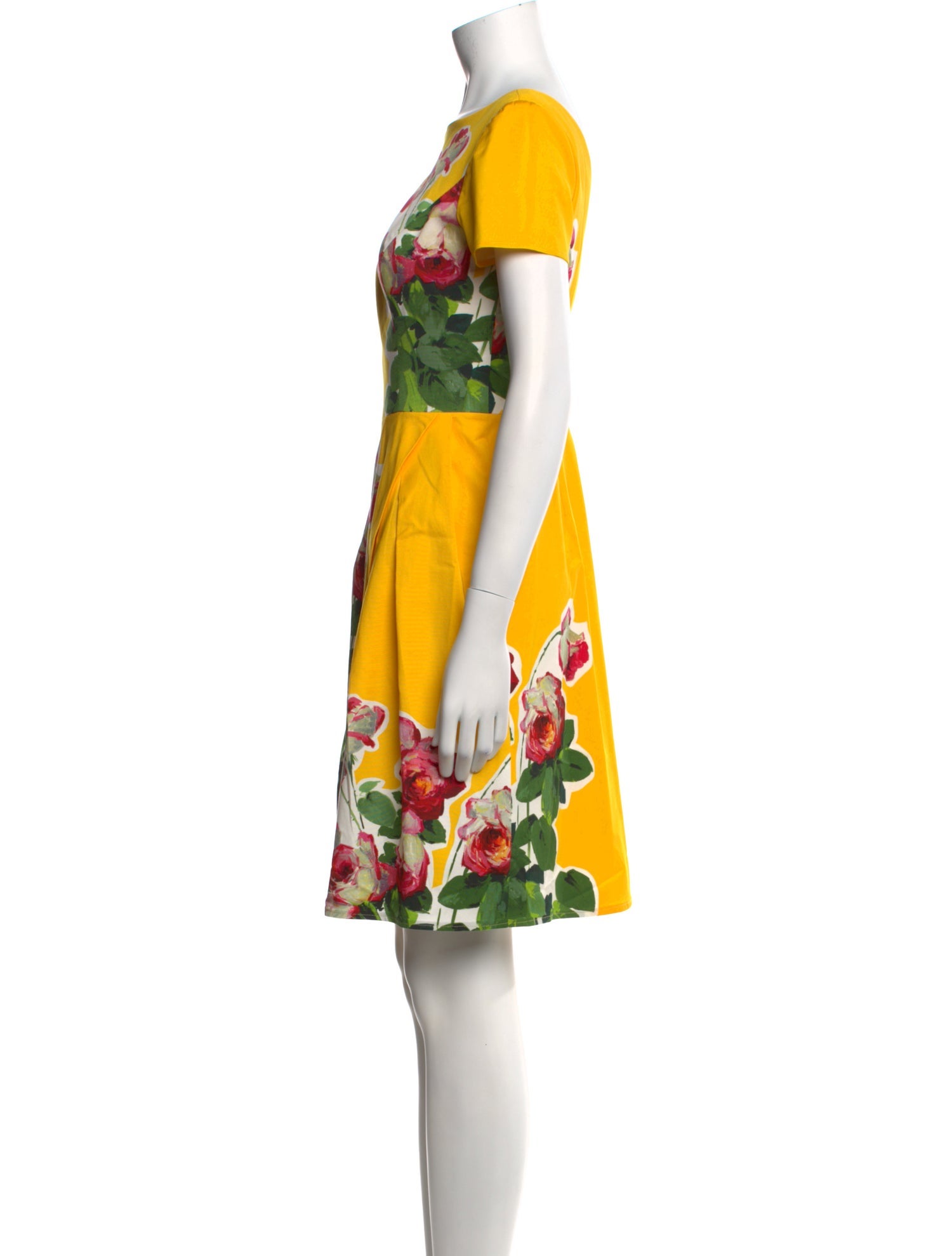 Carolina Herrera Floral Print Knee-Length Dress