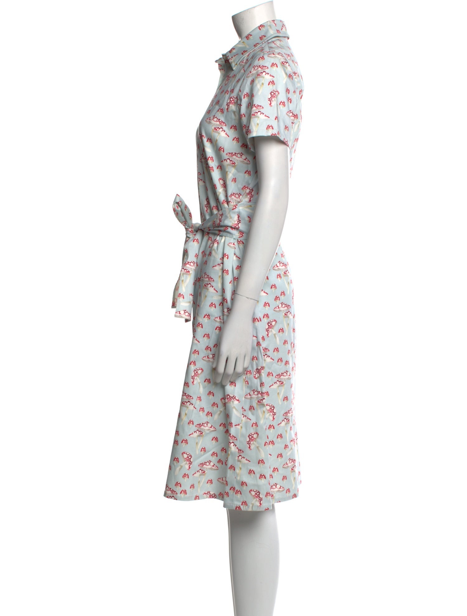 Carolina Herrera Floral Print Knee-Length Dress