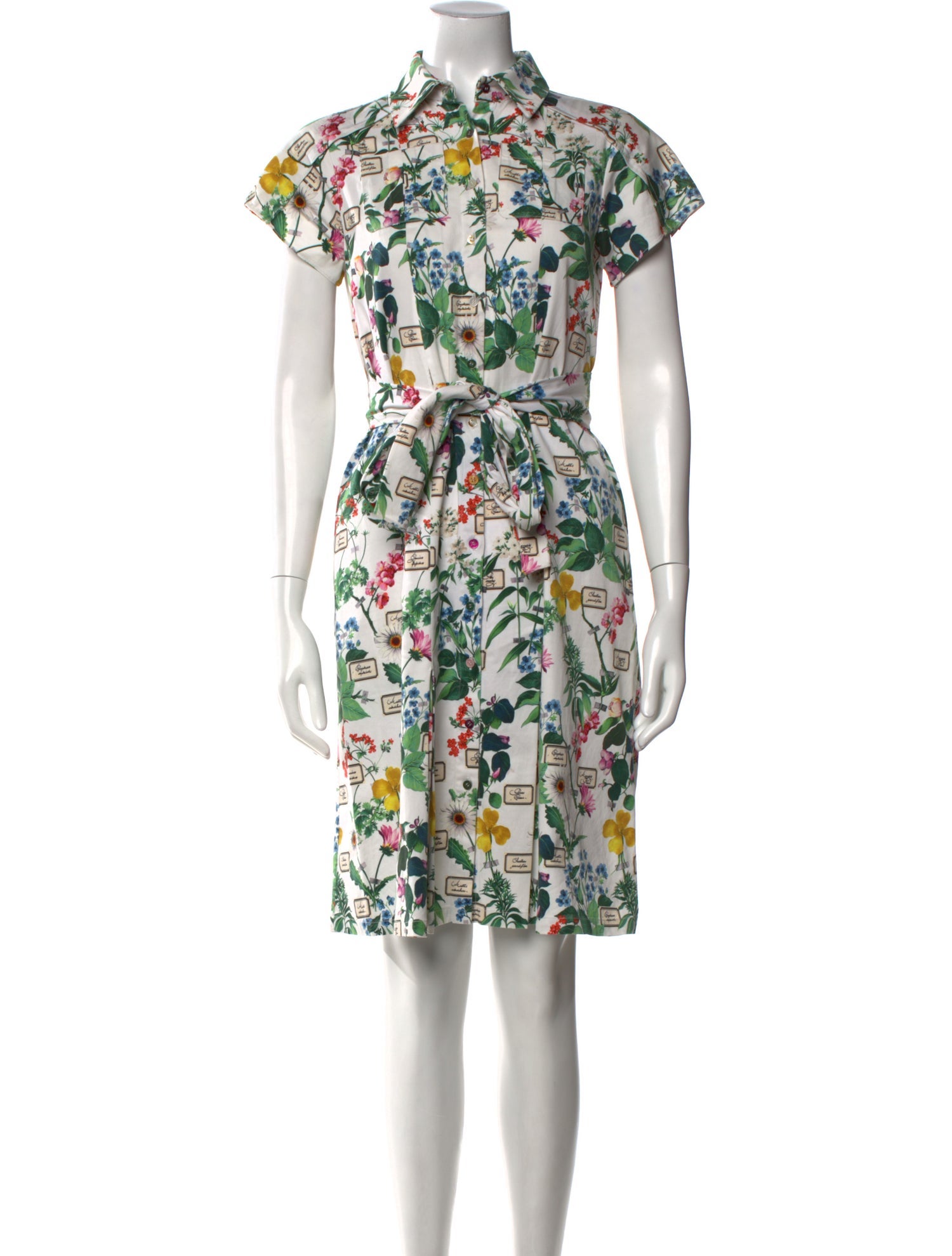 Carolina Herrera Printed Knee-Length Dress