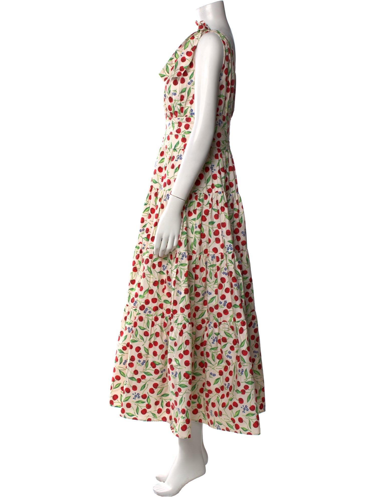 Carolina Herrera Printed Long Dress