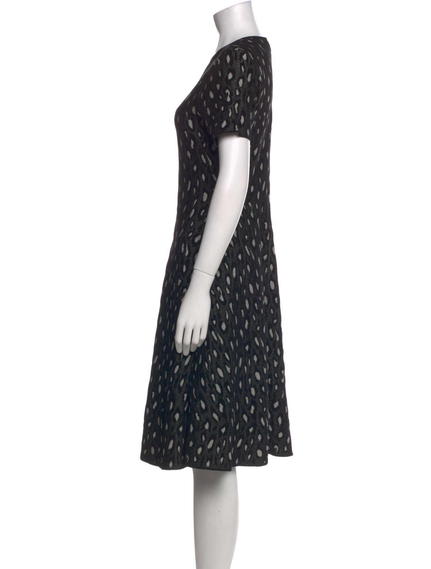 Carolina Herrera Printed Knee-Length Dress