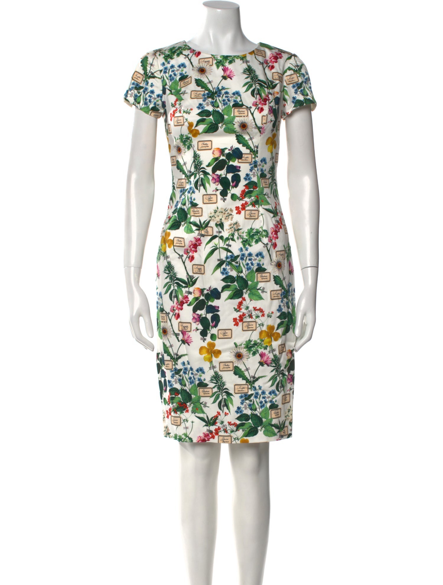 Carolina Herrera Floral Print Knee-Length Dress