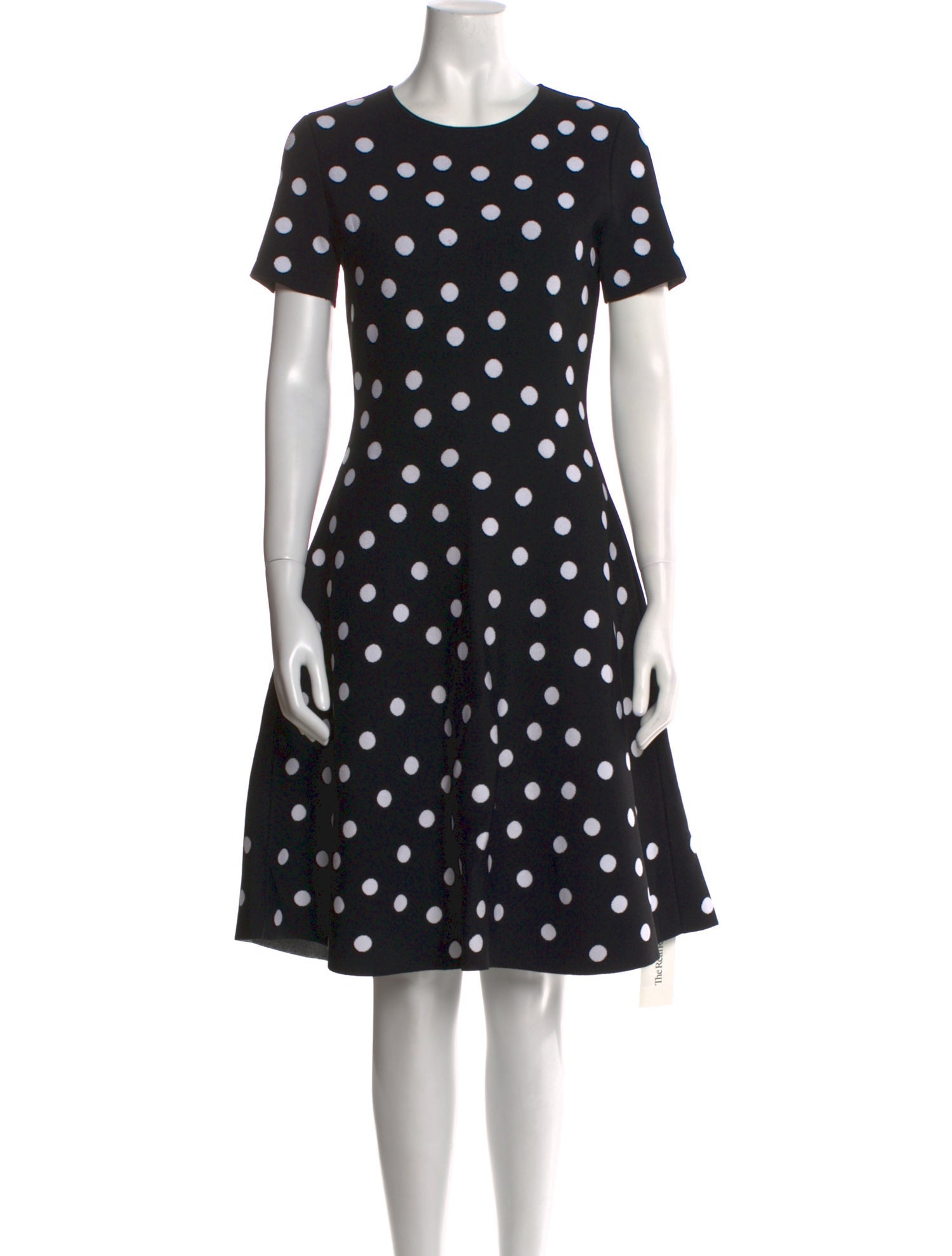 Carolina Herrera Polka Dot Print Knee-Length Dress