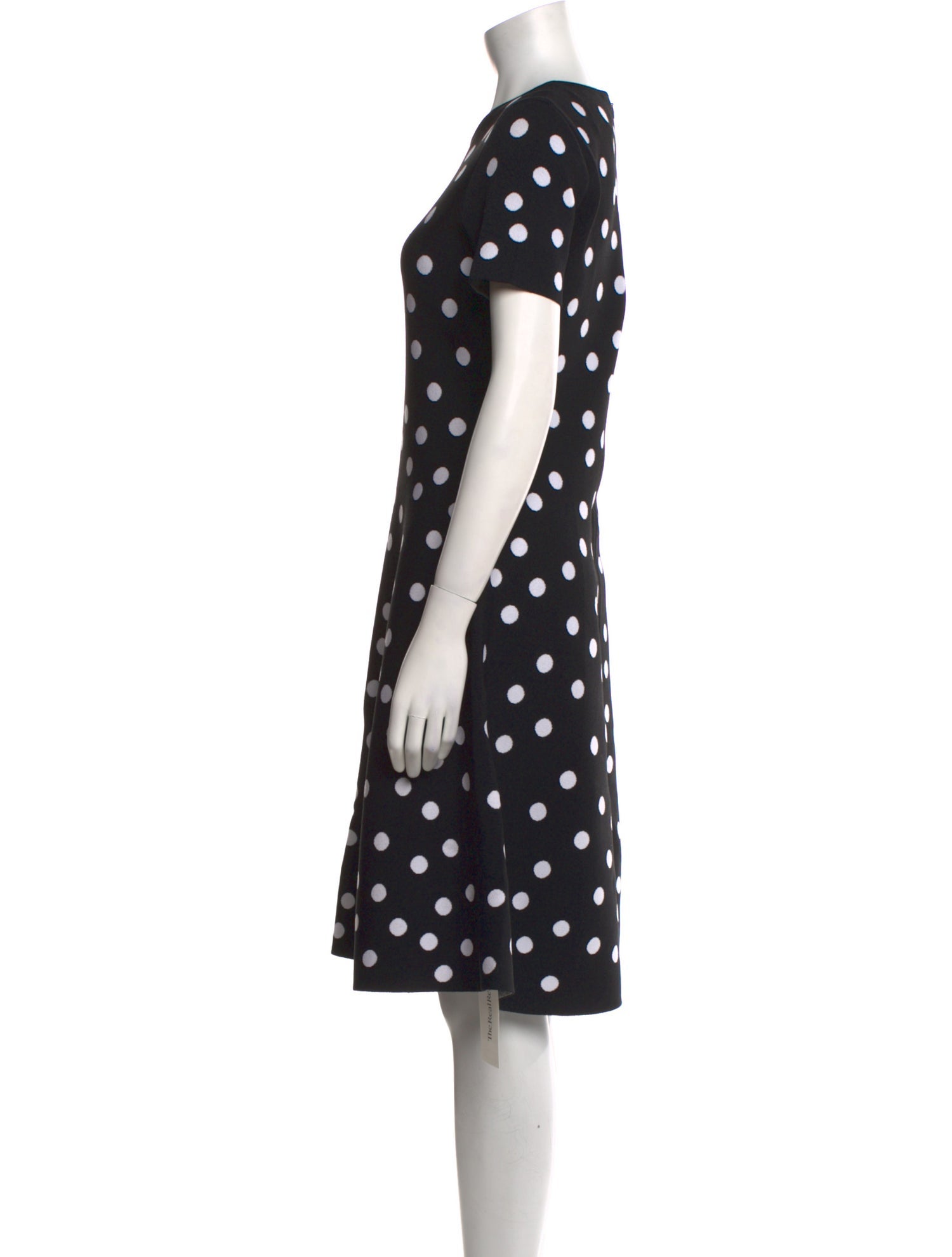 Carolina Herrera Polka Dot Print Knee-Length Dress