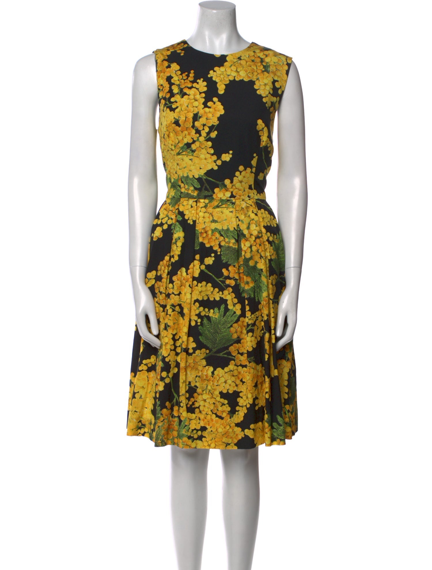 Carolina Herrera Floral Print Knee-Length Dress