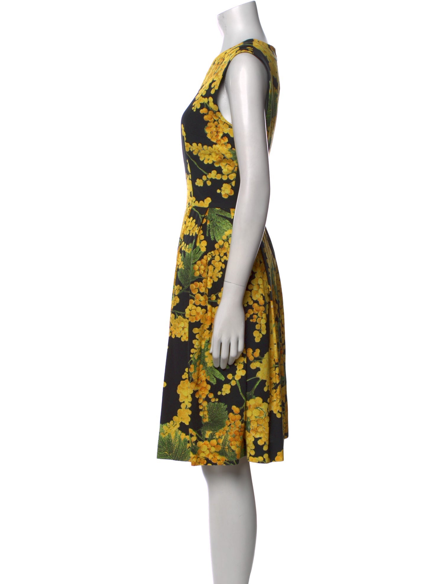 Carolina Herrera Floral Print Knee-Length Dress