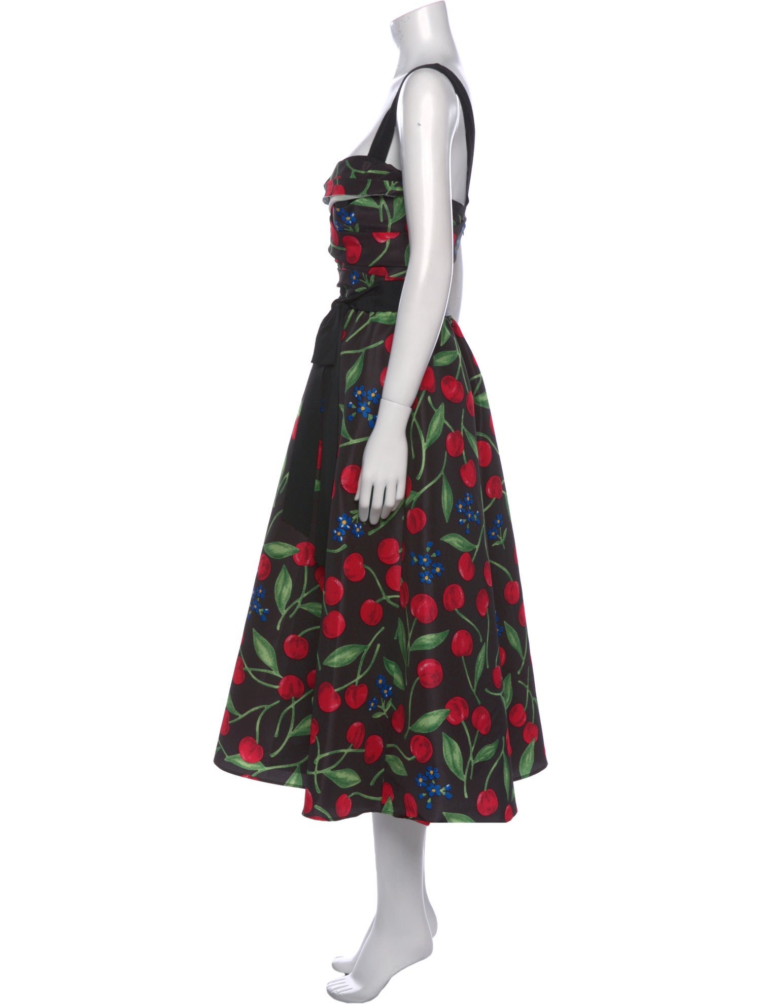 Carolina Herrera Printed Long Dress