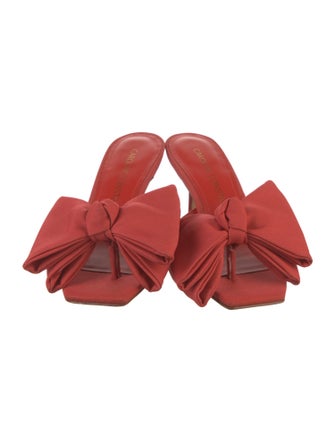 Caroline Constas Slides