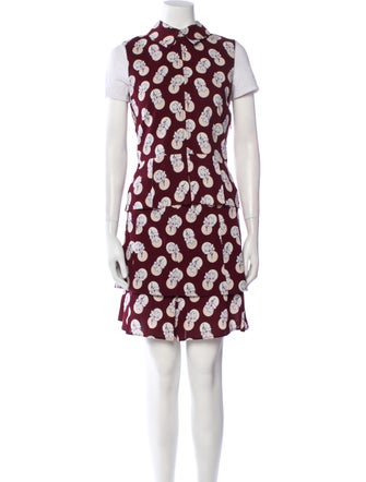 Carven Printed Skirt Set
