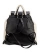 Coach Leather Backpack
