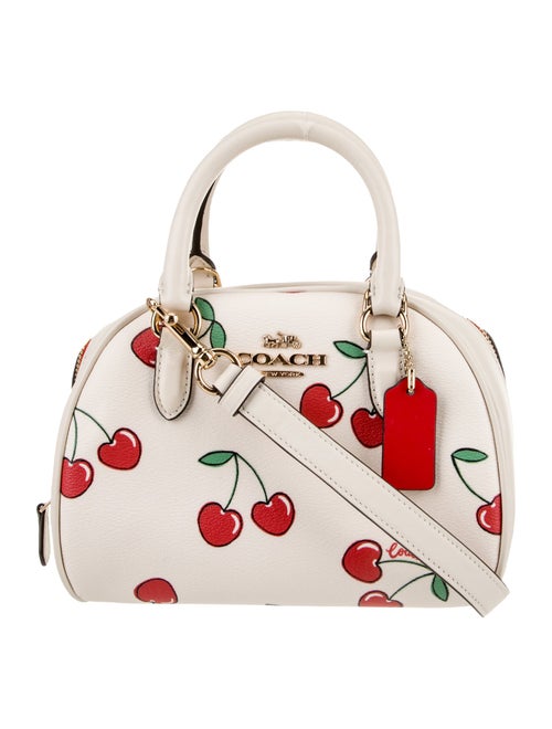 Coach Leather Shoulder Bag