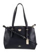 Coach Leather Prada Phenix