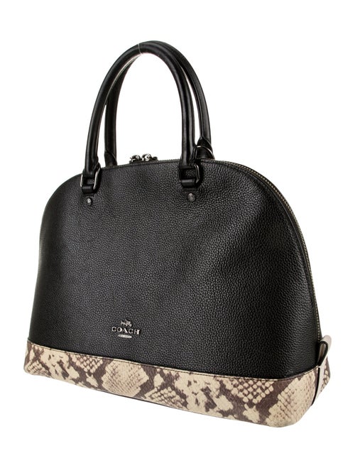 Coach Leather Prada Monochrome