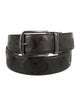 Coach Waist Belt