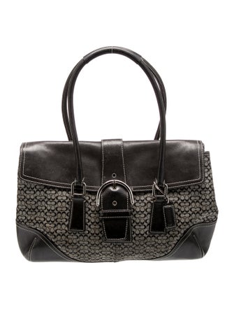 Coach Canvas Christian Dior Trotter