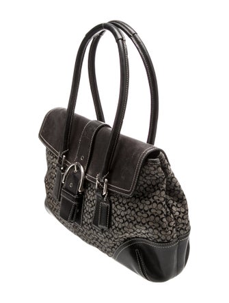 Coach Canvas Christian Dior Trotter