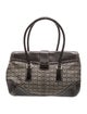 Coach Canvas Christian Dior Trotter