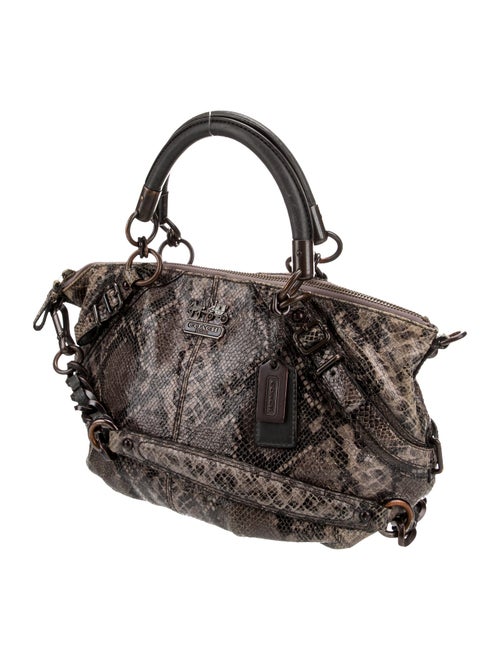 Coach Snakeskin Top Handle Bag