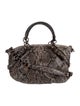 Coach Snakeskin Top Handle Bag