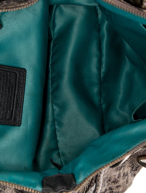 Coach Snakeskin Top Handle Bag