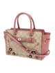 Coach Top Handle Bag