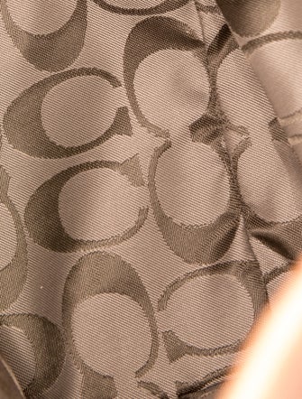 Coach Leather Shoulder Bag