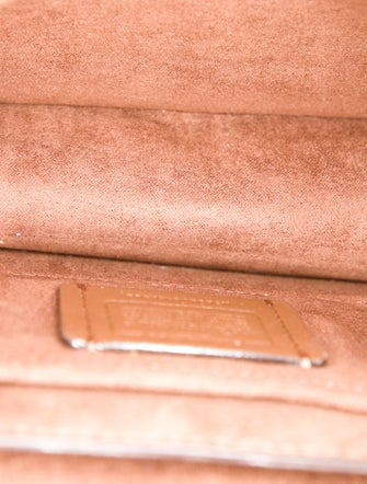 Coach Crossbody Bag