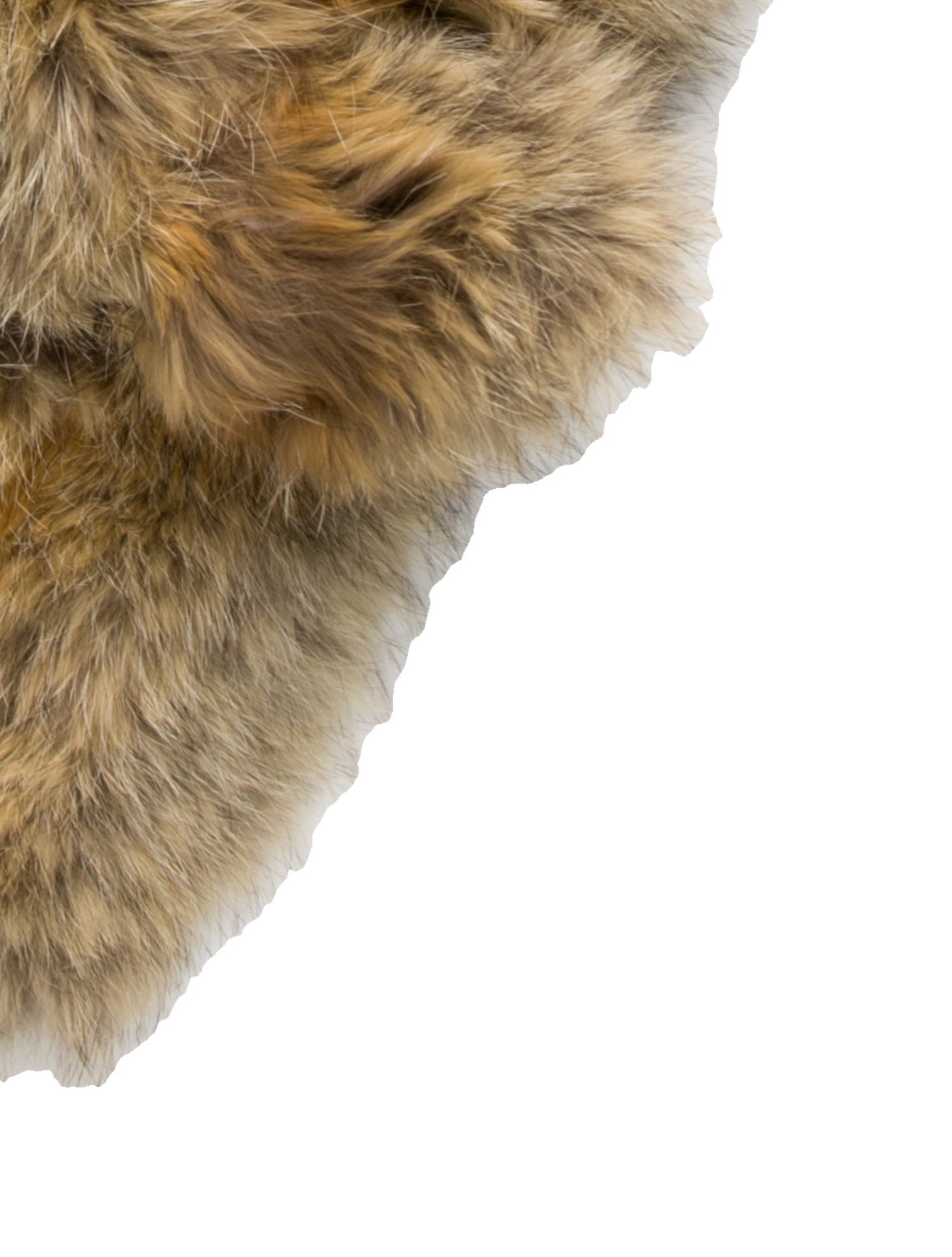 Coach 1941 Fur Shawl