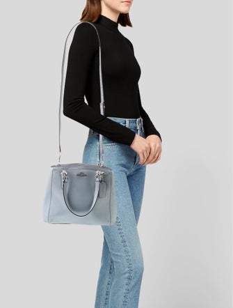 Coach Leather Celine Triomphe