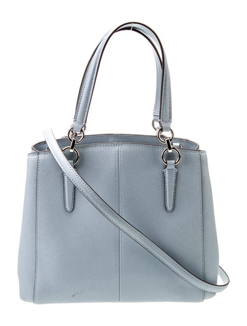 Coach Leather Celine Triomphe