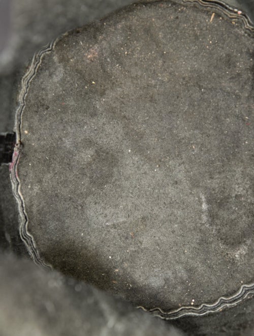 Coach Leather Bucket Bag