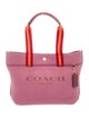 Coach Canvas Top Handle Bag