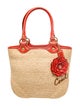 Coach Straw Shoulder Bag