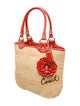 Coach Straw Shoulder Bag