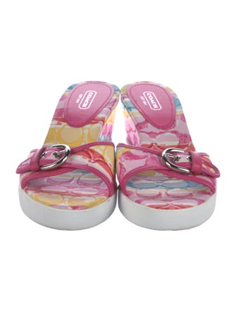 Coach Canvas Printed Slides