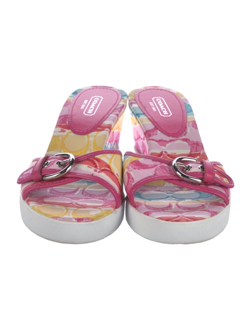 Coach Canvas Printed Slides