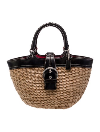Coach Raffia Top Handle Bag