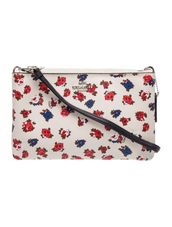 Coach Crossbody Bag