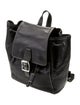 Coach Leather Backpack