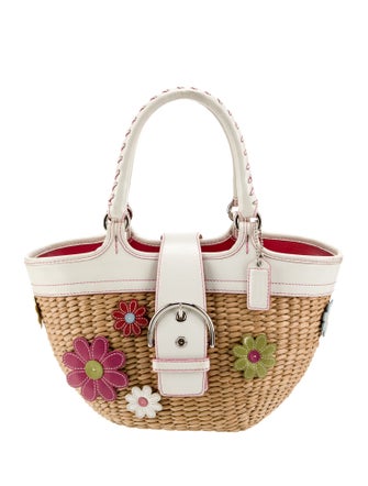 Coach Straw Top Handle Bag
