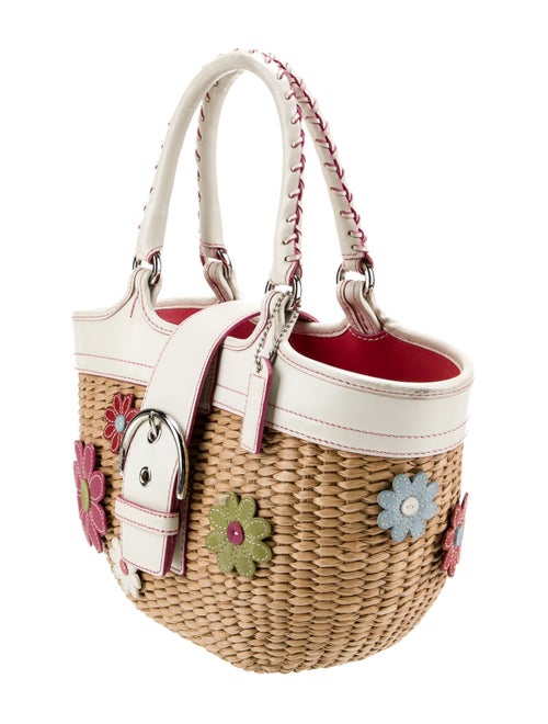 Coach Straw Top Handle Bag