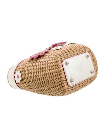 Coach Straw Top Handle Bag
