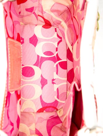 Coach Straw Top Handle Bag