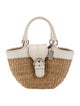 Coach Raffia Top Handle Bag